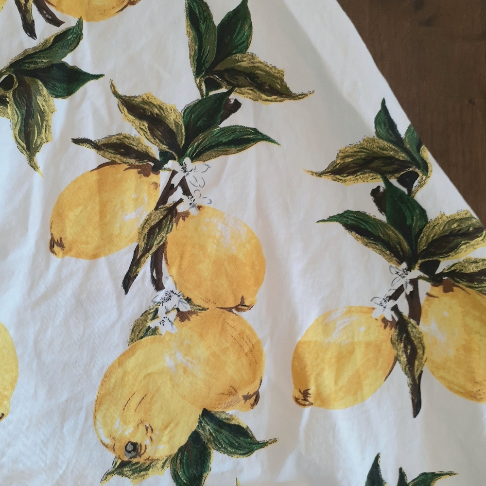Lemon Print Fit and Flare Dress - Picture 5 of 10